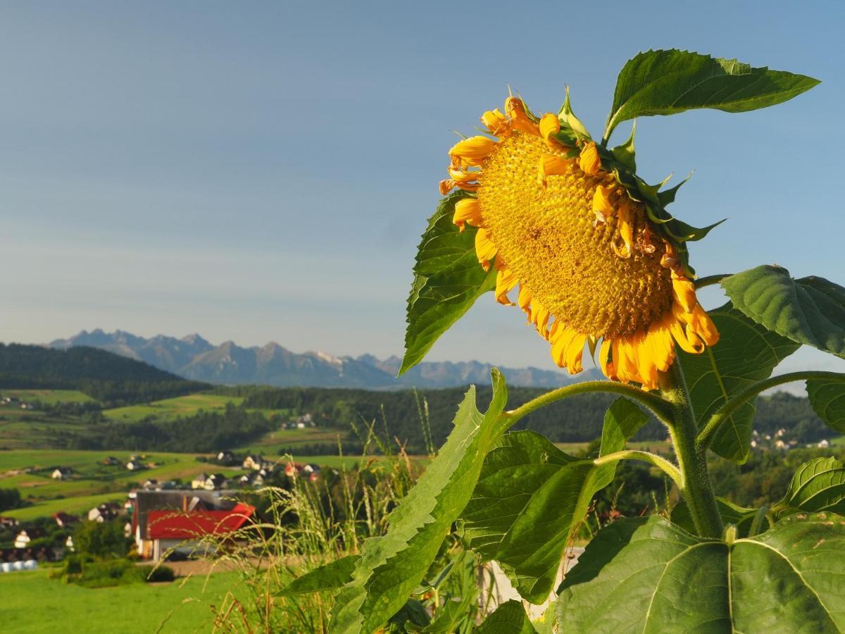 Loft&Hill Villa Grywald Kültér fotó